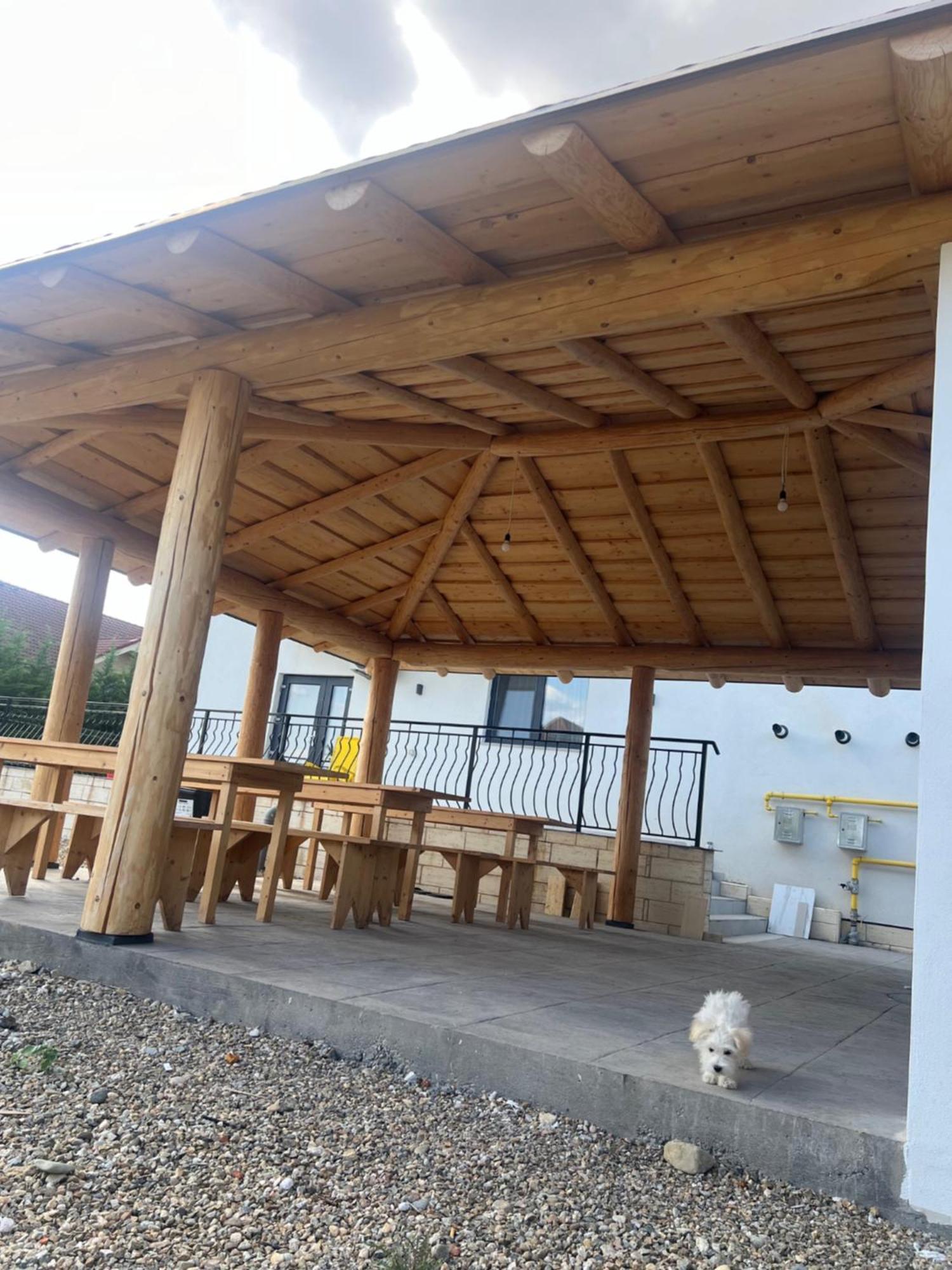 Villa Class Sînmartin Exteriér fotografie